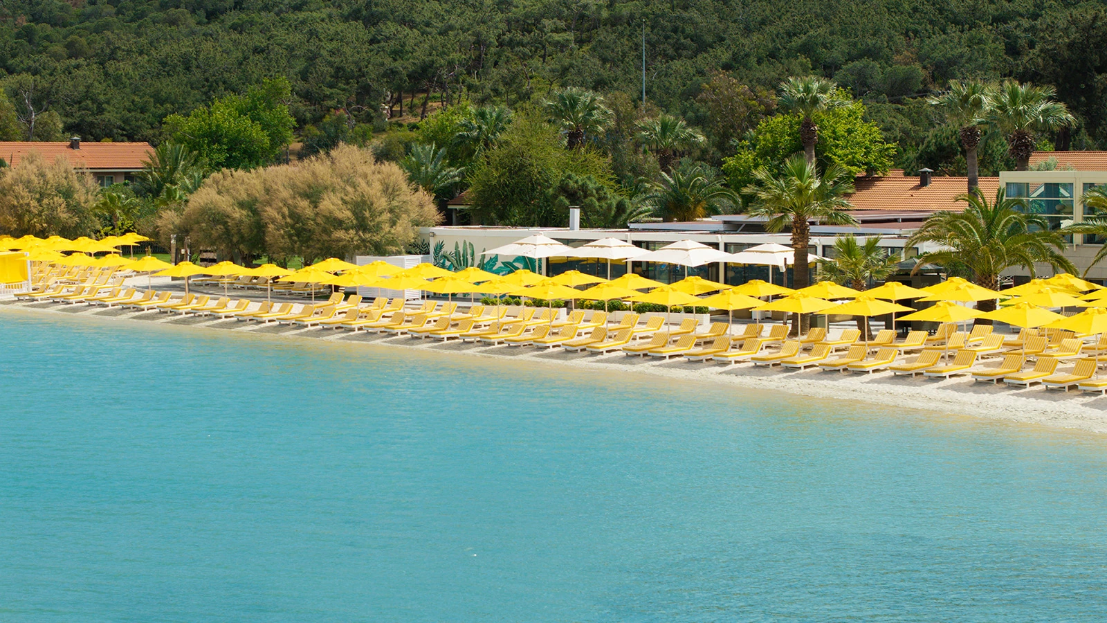 D Resort Ayvalık Murat Reis Ayvalık hikayesi banner tanıtım görseli
