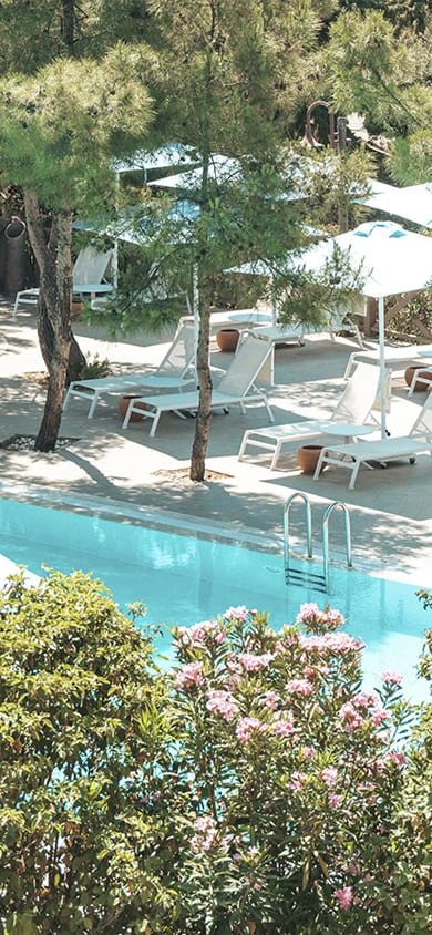 D Resort Ayvalık aktiviteler sayfası mobil hero banner