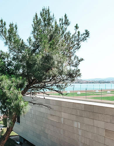 D Resort Ayvalık Deluxe Oda iç görünümü mobil galeri