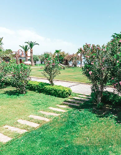 D Resort Ayvalık Deniz Manzaralı Bungalov banyo ve iç görünüm mobil galeri