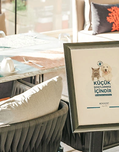 D Resort Ayvalık Olives restoranı meze ve lezzet detayı mobil görsel
