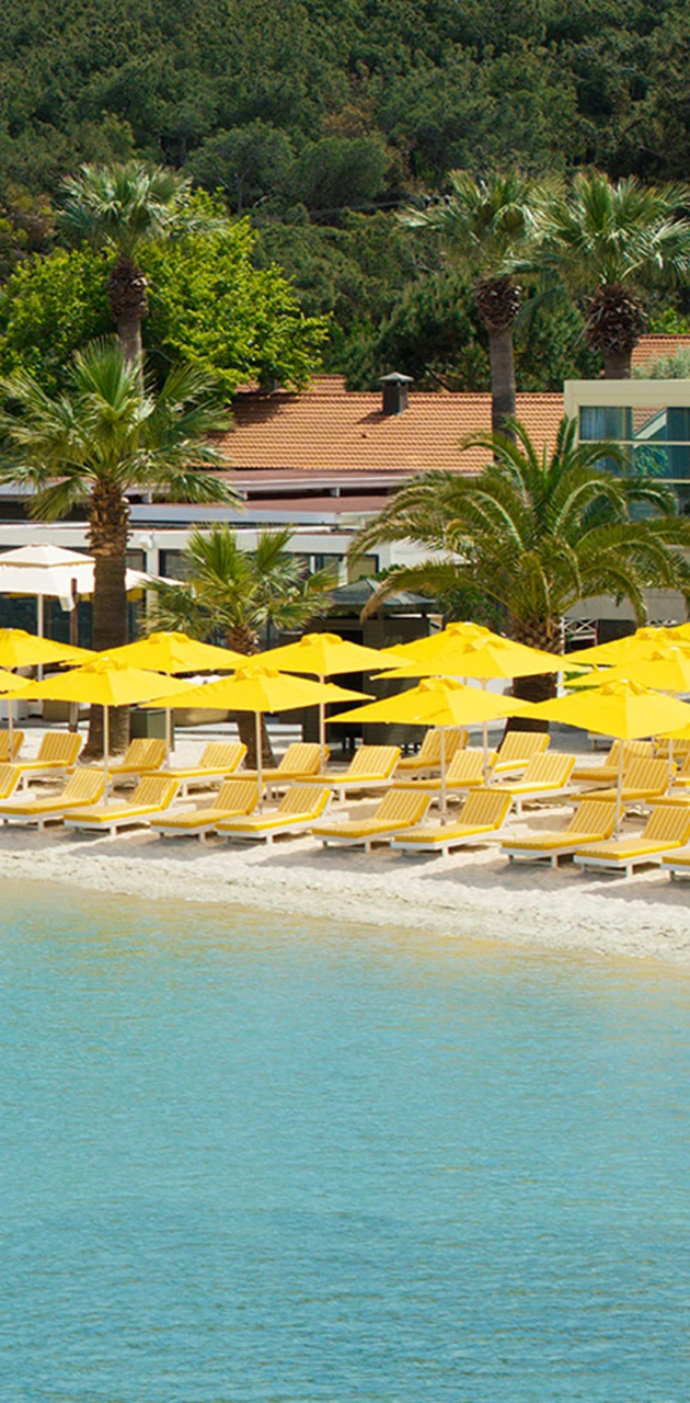D Resort Ayvalık Murat Reis Ayvalık hikayesi mobil banner görseli
